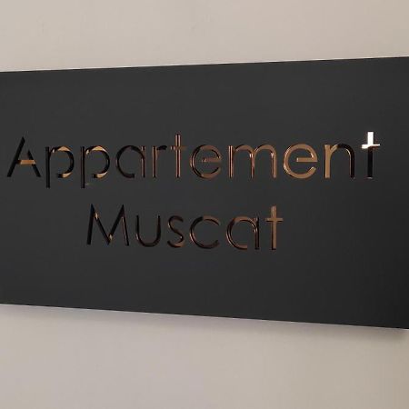 Les Souvenirs D'Alsace Apartment Colmar Exterior photo